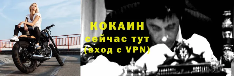 КОКАИН Эквадор  купить закладку  Буинск 